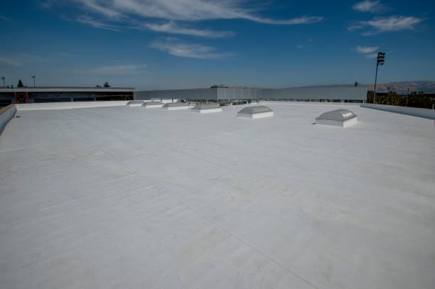 Best Roof Moss and Algae Removal  in New Castle, CO