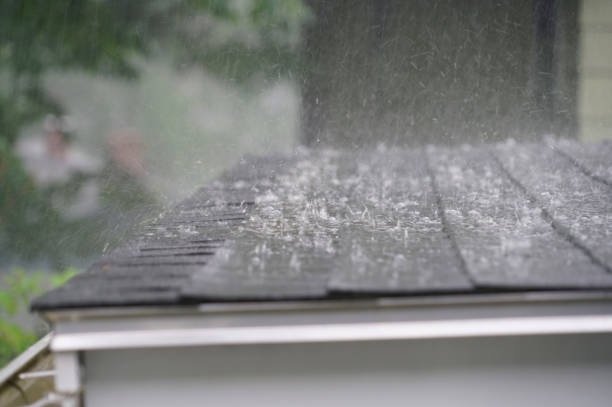 Best Roof Maintenance and Cleaning  in New Castle, CO